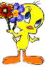 Gifs animés titi